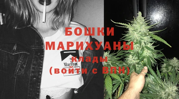 хмурый Верея
