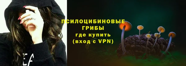 хмурый Верея