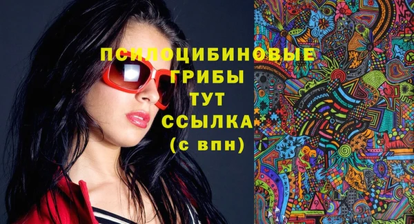 хмурый Верея